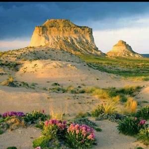 Meet your Posher, Eliza